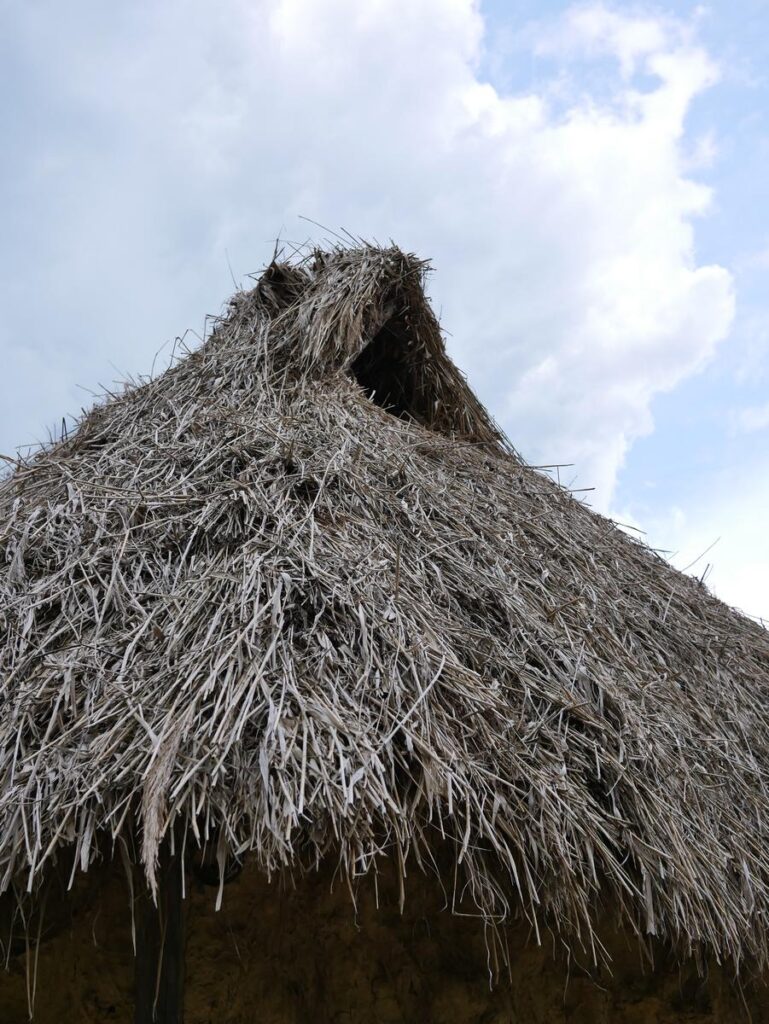 le toit de la maison préhistorique de Saint-Just