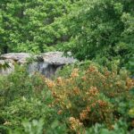 L'Allée couoverte de Tréal un peu cachée dans les bois