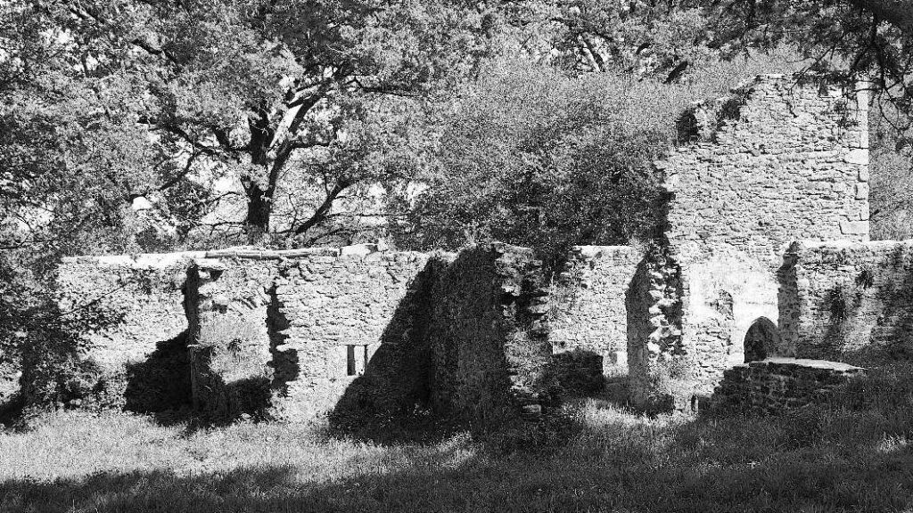 les vestiges de la Chapelle des Marais, sous les grands chênes
