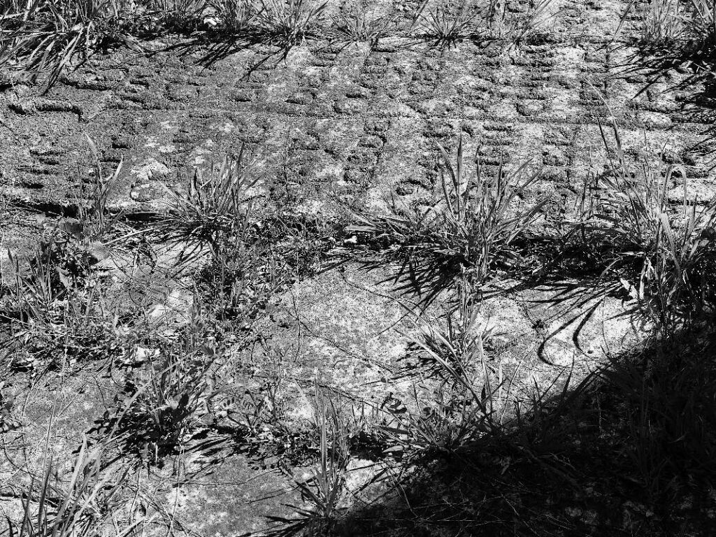 Autour de l'église il y avait un cimetière. On voit encore les tombes.