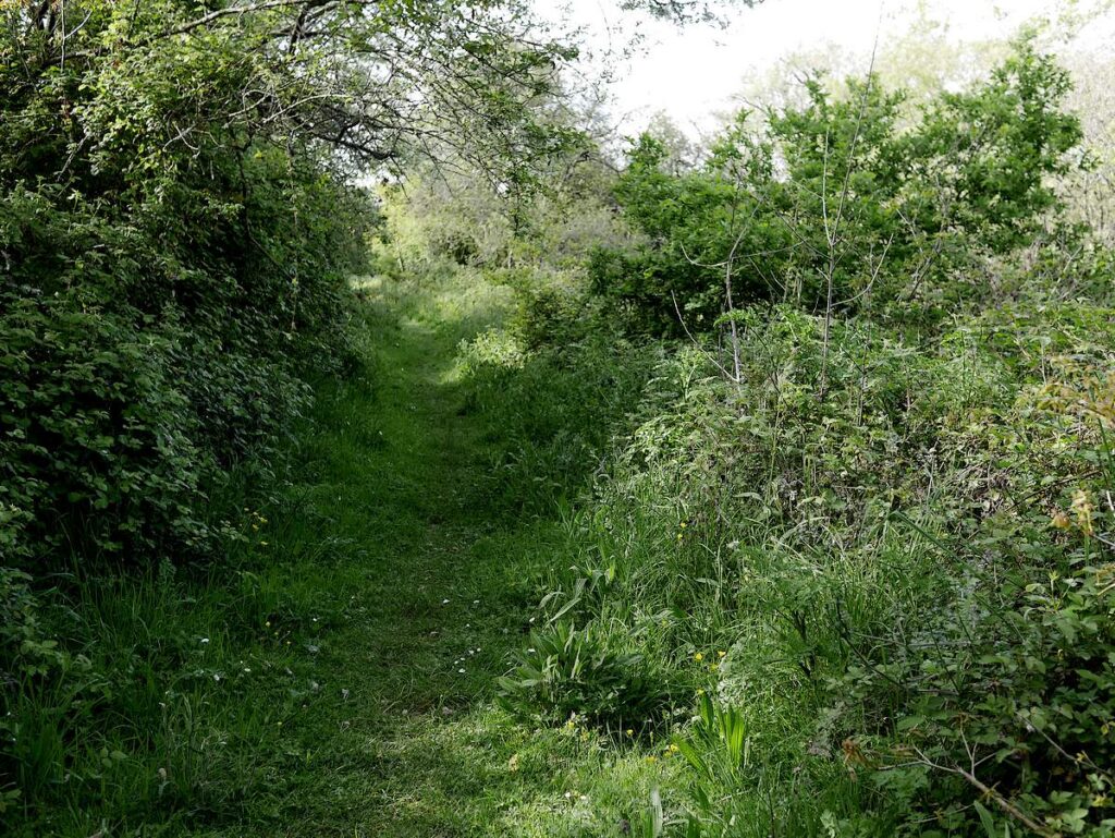 Le chemin qui mène au grand menhir, entre les étangs et mares que forment les gravières.