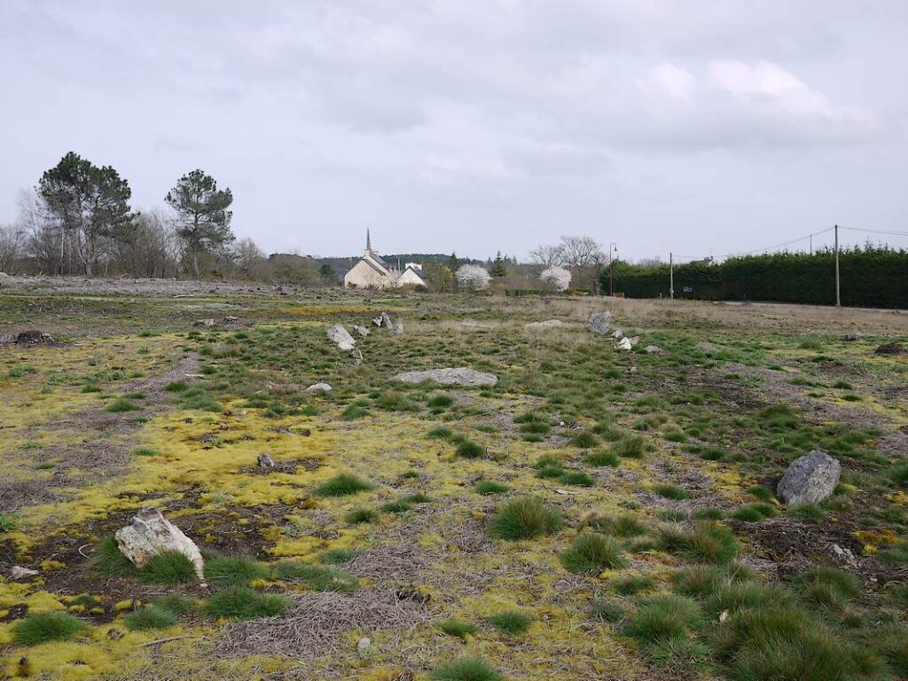  Cojoux: le tertre de la CroIx-Madame après l'incendie.