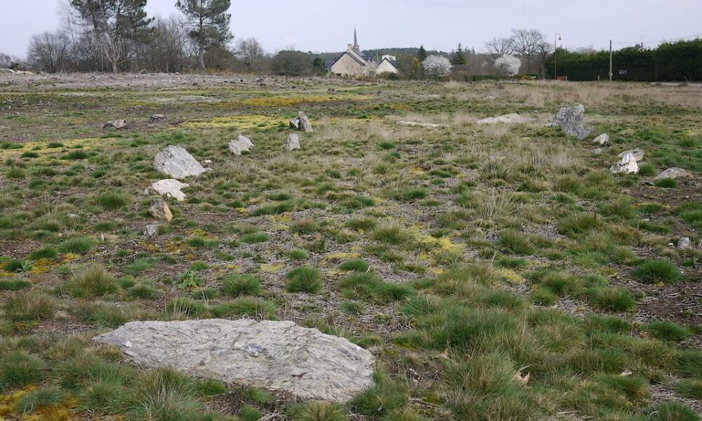 Lande de Cojoux: le tertre de la Croix-Madame après l'incendie.