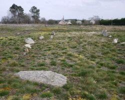 Lande de Cojoux: le tertre de la Croix-Madame après l'incendie.