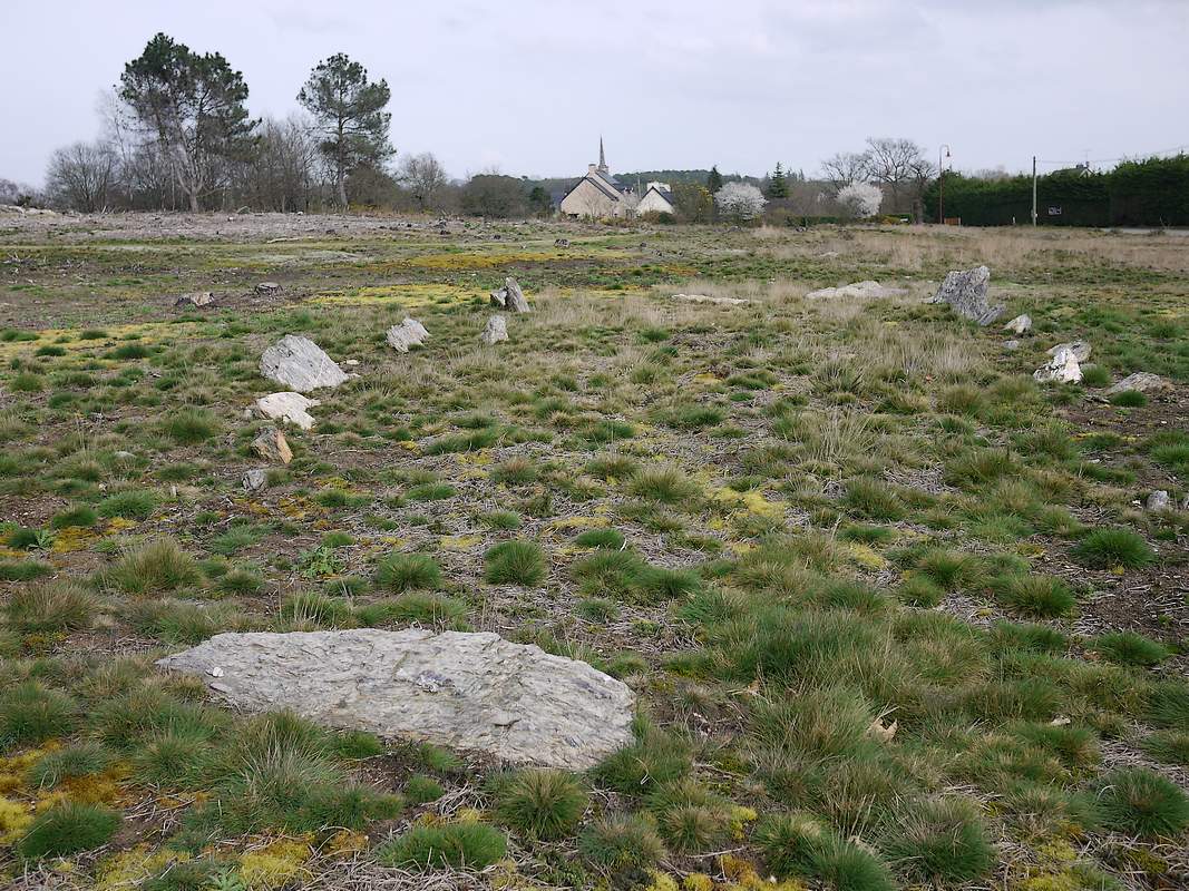 Lande de Cojoux: le tertre de la Croix-Madame après l'incendie.