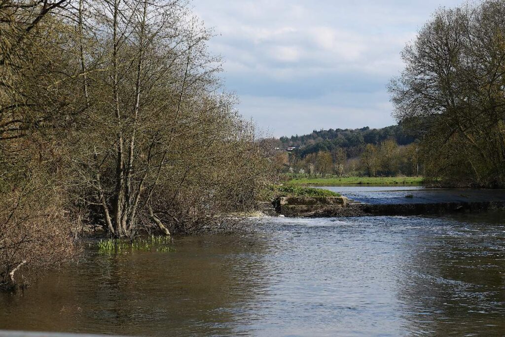 l'étang de Juzet, guemene penfao
