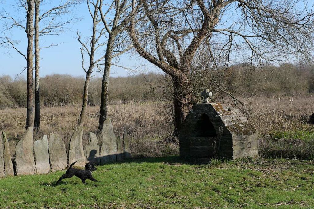 La fontaine Saint Léon à Glénac au printemps