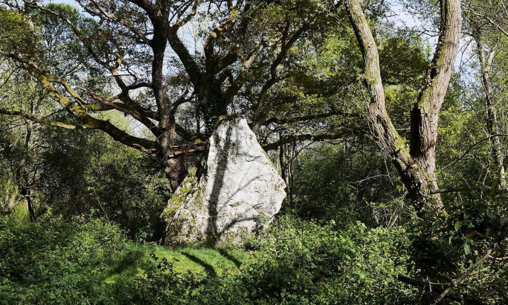 tres grand menhir au détour d'un chemin