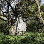 tres grand menhir au détour d'un chemin