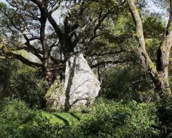 tres grand menhir au détour d'un chemin