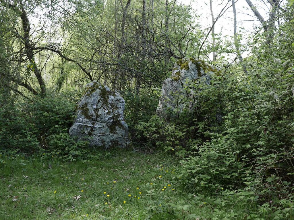 Petits menhirs des Grées dans les sous-bois, au bord d'un chemin