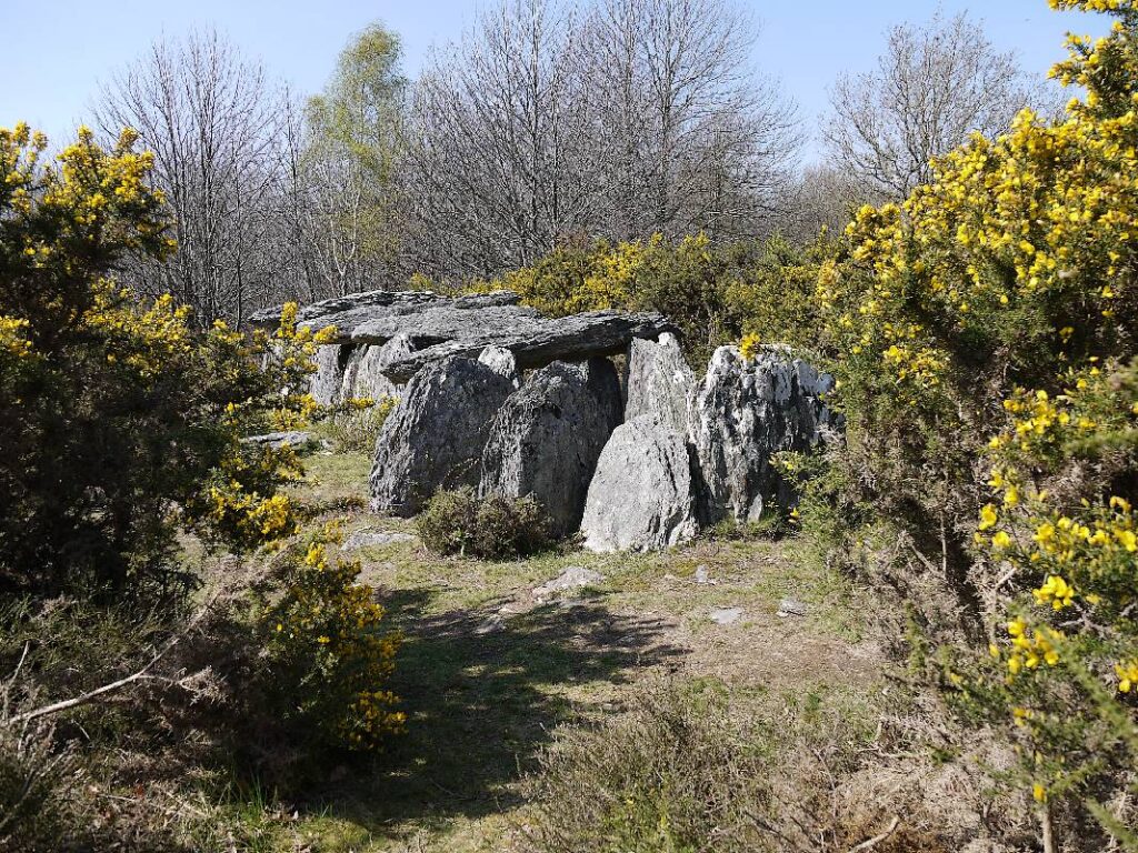 fleurie d'ajoncs, L'allée couverte de Tréal