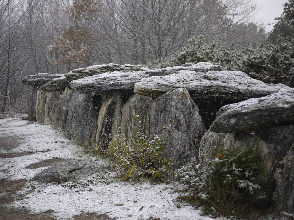 L'allée couverte de Tréal quand il neige