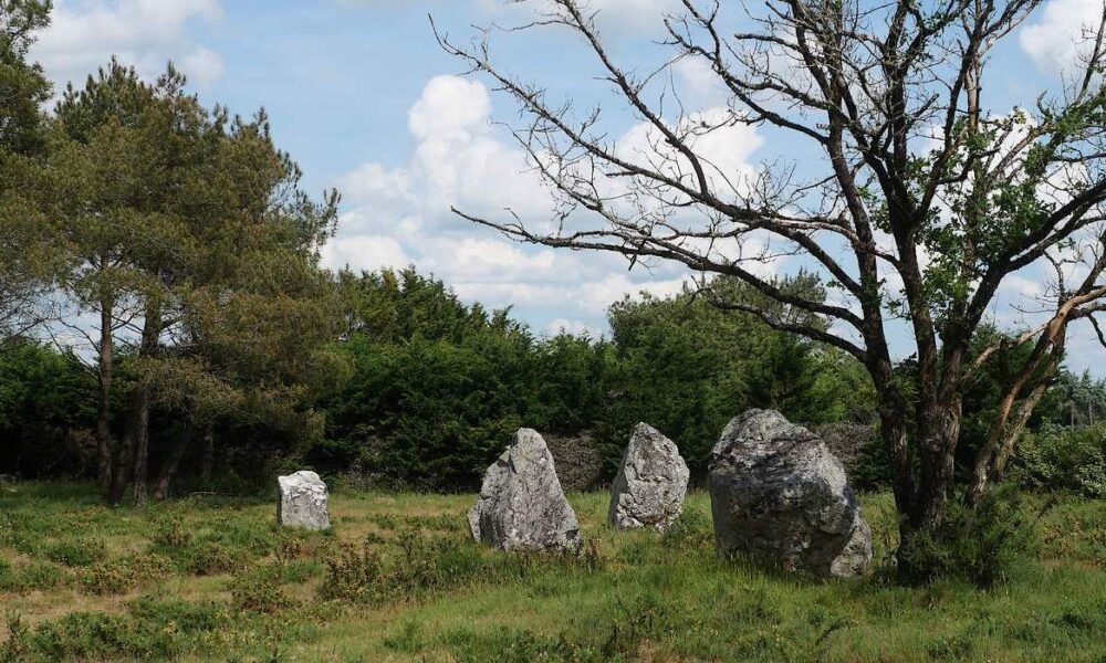 Les demoiselles de Langon, petits menhirs dans une lande