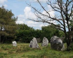 Les demoiselles de Langon, petits menhirs dans une lande