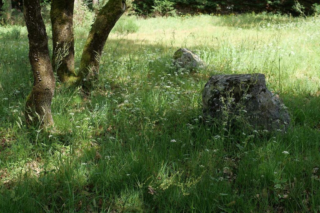 Tertre tumulaire au nord des alignements