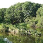 La Vilaine à l'écluse de Mâlon, pêcheurs.