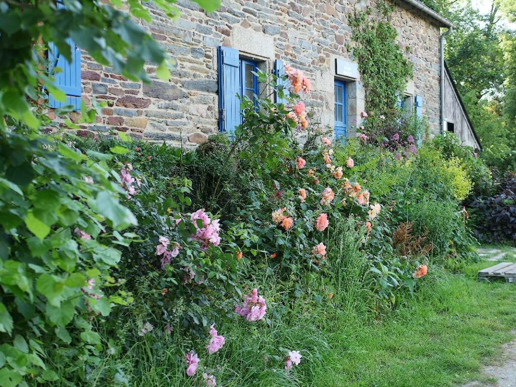 rosiers devant la maison de l'écluse de Mâlon