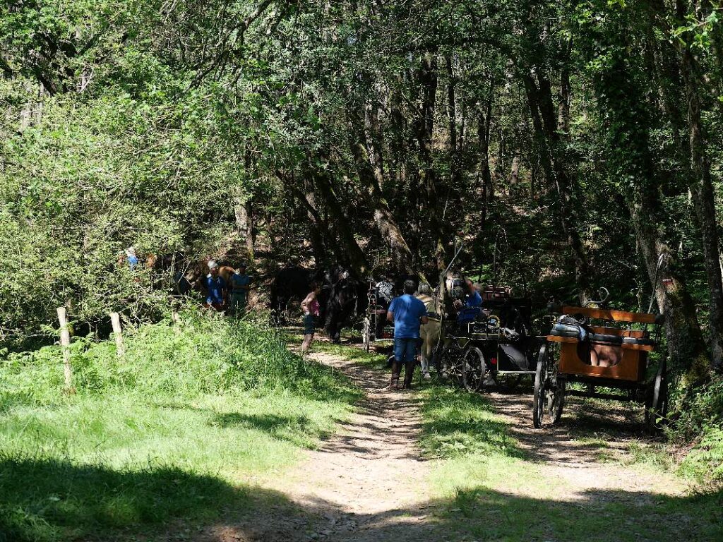 voitures à cheval à Trohinat