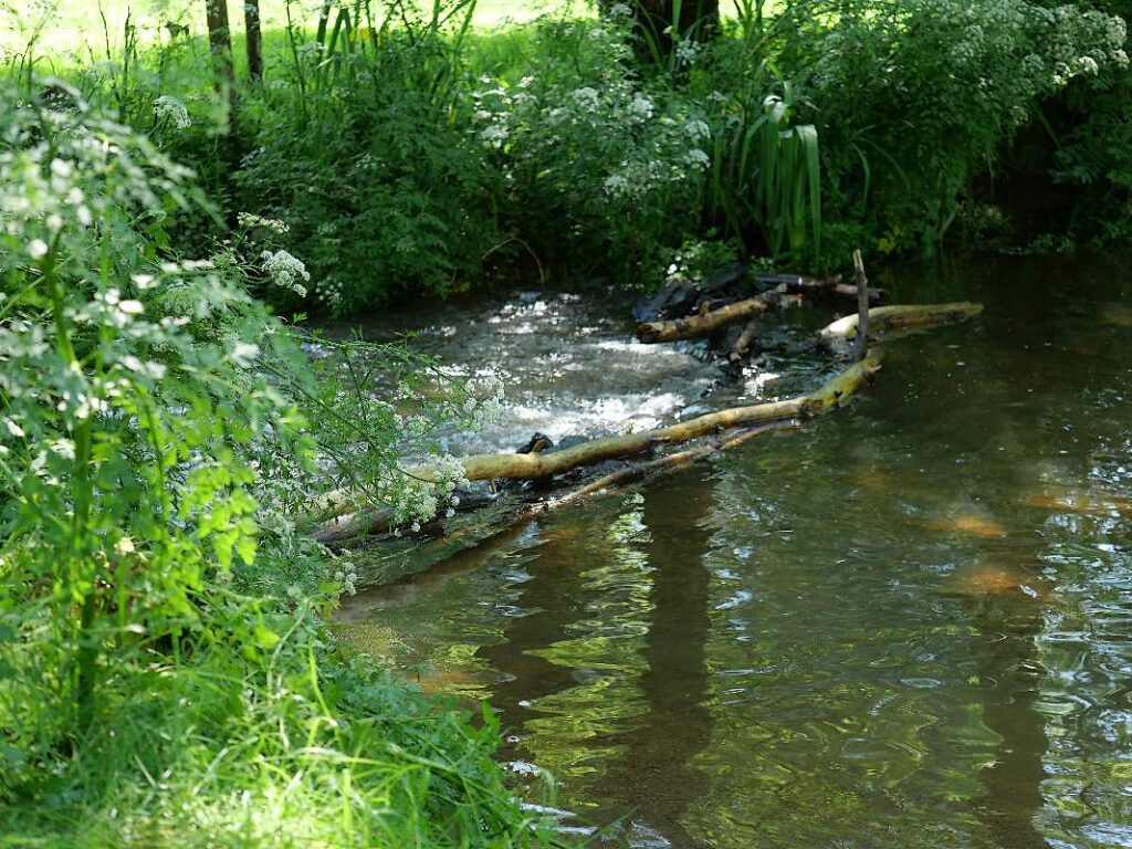eau vive au gué de Trohinat