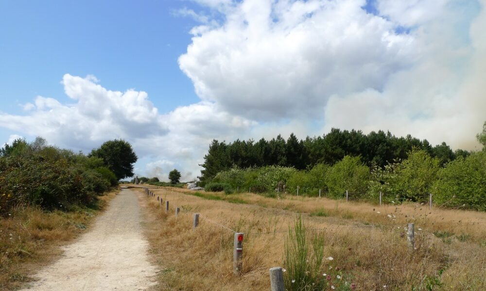 Incendie Saint-just-2009