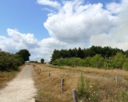 Incendie Saint-just-2009