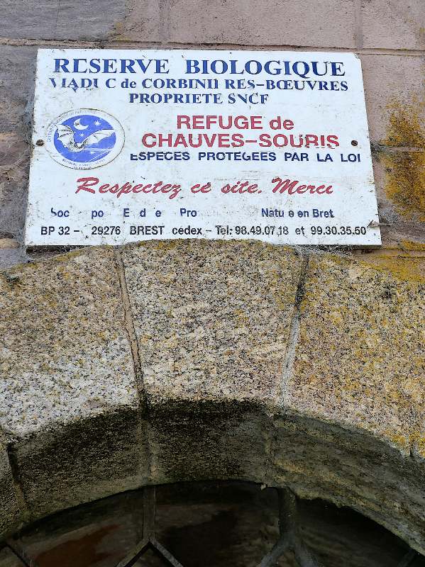 Pile du viaduc-corbinieres