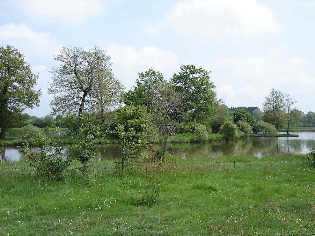 L'étang des quatre vents en 2006