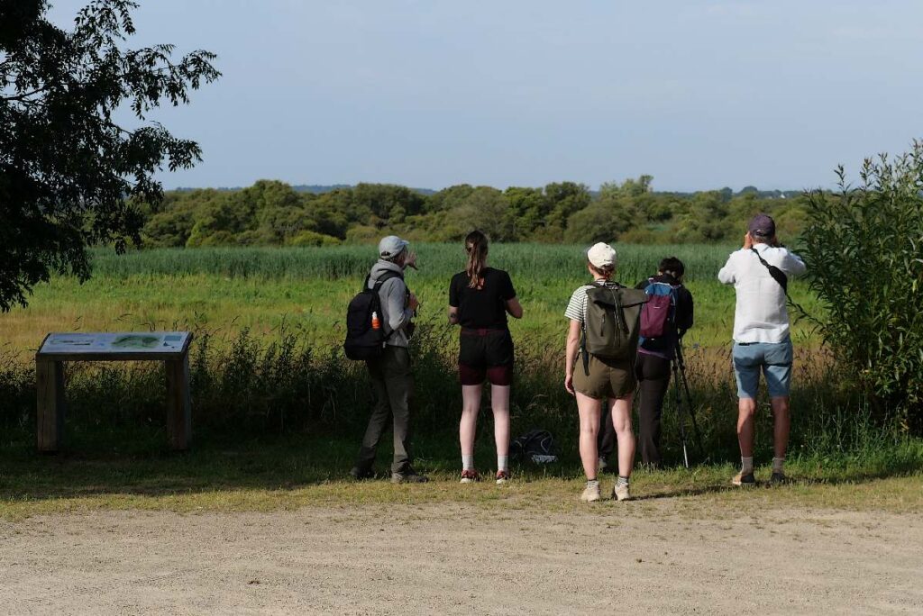 Des observateurs de la nature repèrent les oiseaux
