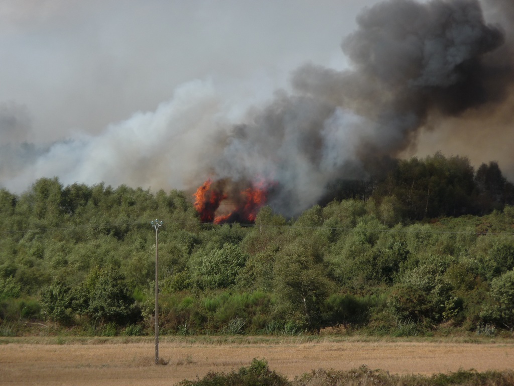 Le feu s'étend très vite, les fumées sont épaisses