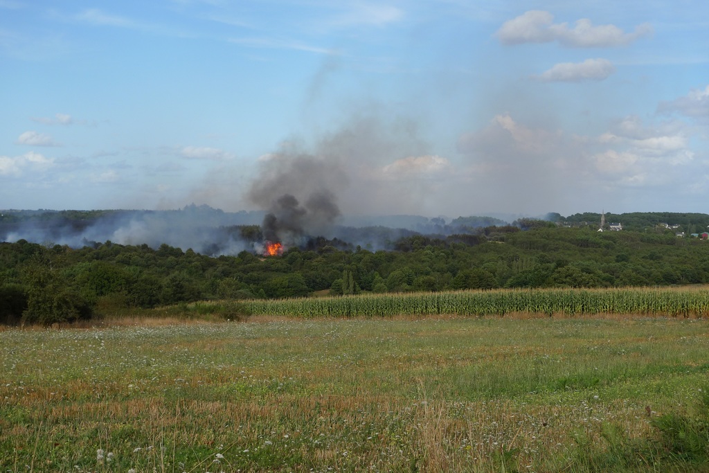 Le vent pousse les flammes très vite