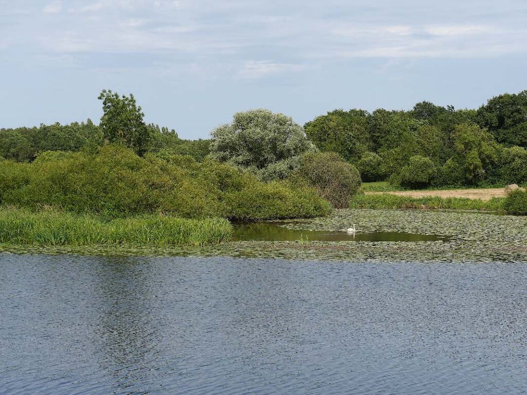 chère et Vilaine se rejoignent à Langon et Sainte Anne sur vilaine