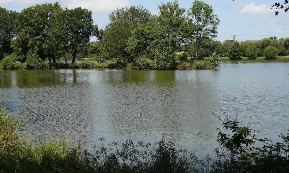 L'étang des Quatre vents, à Pipriac