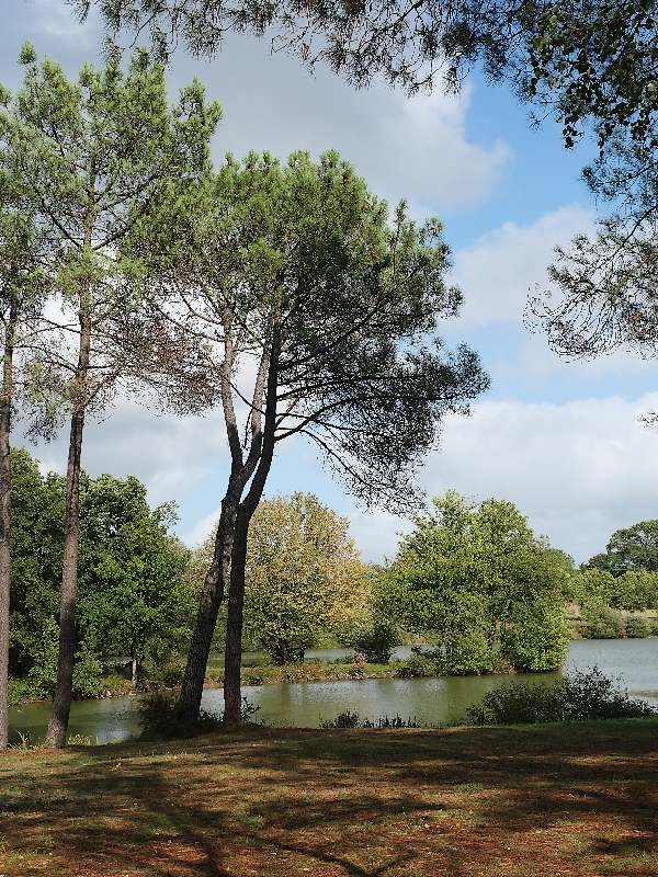 L'étang des quatre vents, à Pipriac