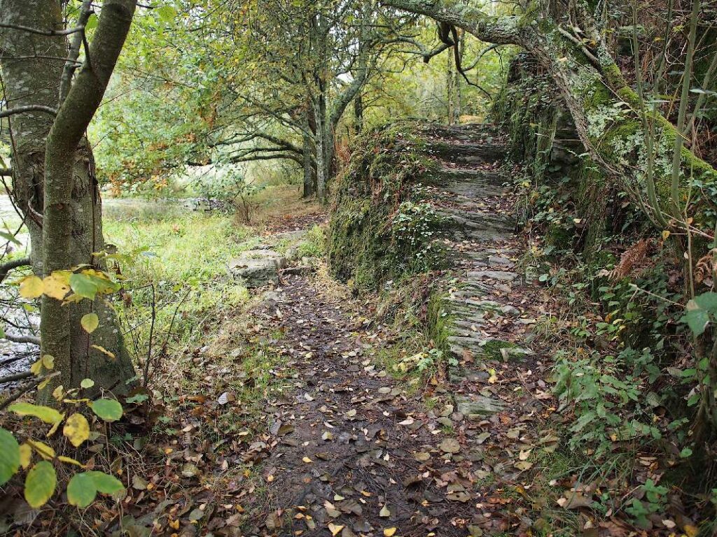 paroi d'escalade de l'étang du val à Saint-just