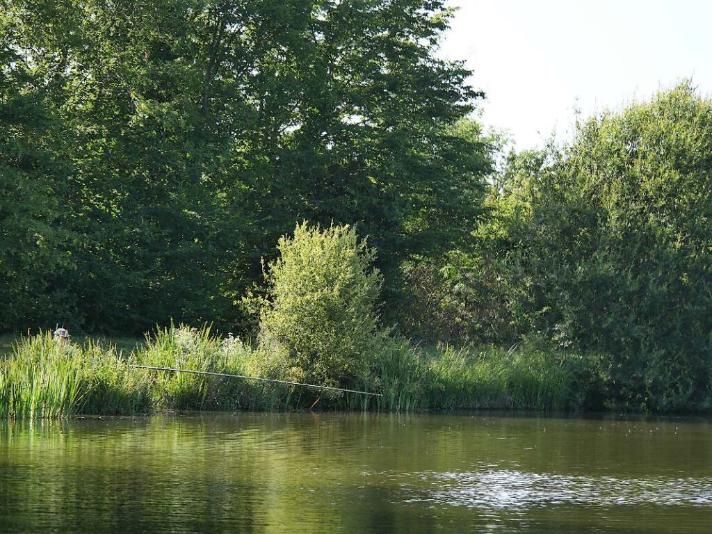 un pecheur à l'étang des quatre vents, à Pipriac