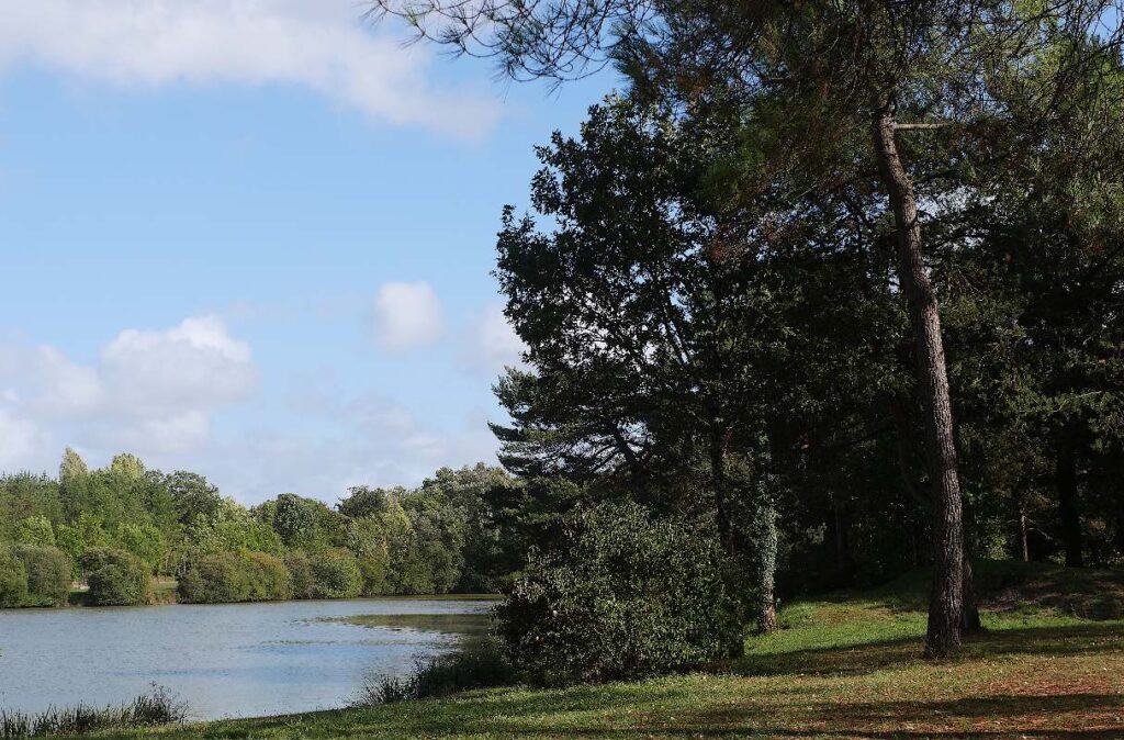 L'étang des quatre vents, à Pipriac