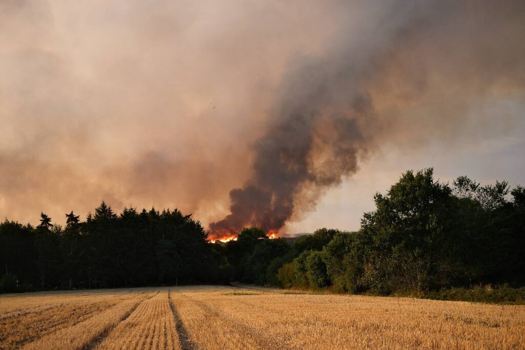 En face des landes de Cojoux, l'incendie.