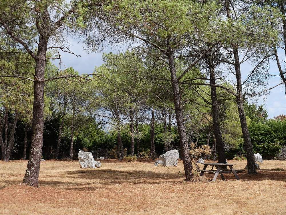 Les alignements des Demoiselles de Langon, pendant la sécheresse