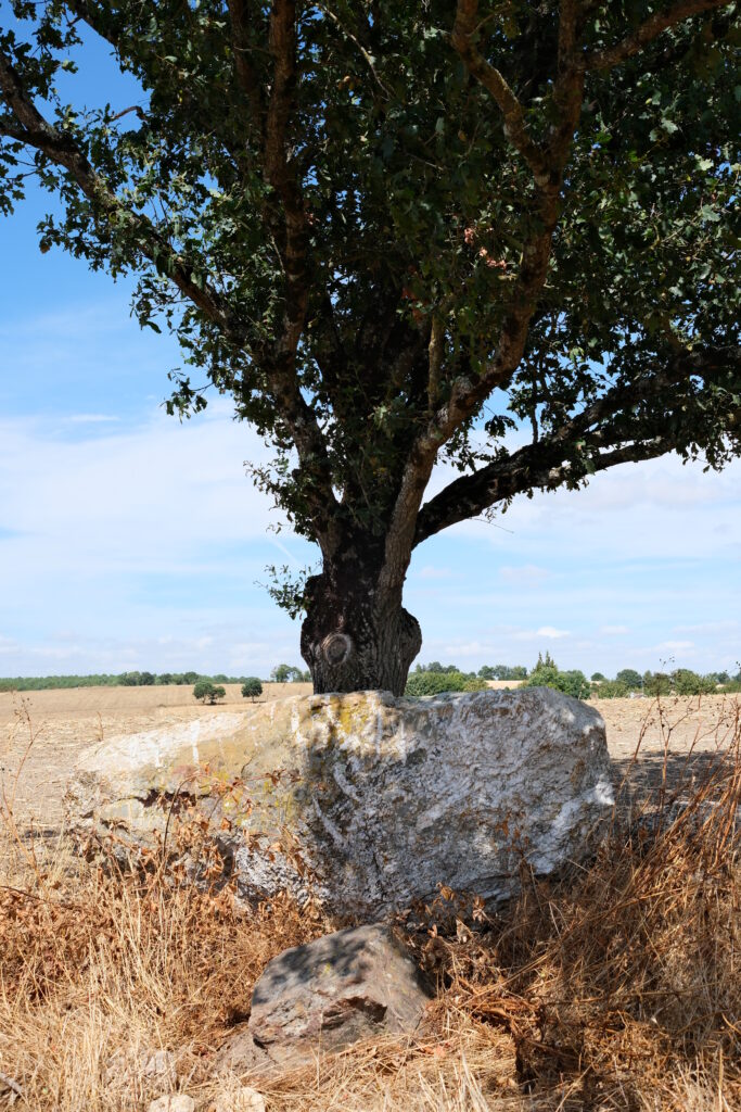 Bloc de Quartz de l'Alignement mégalithique de La Forgerais, à St Just