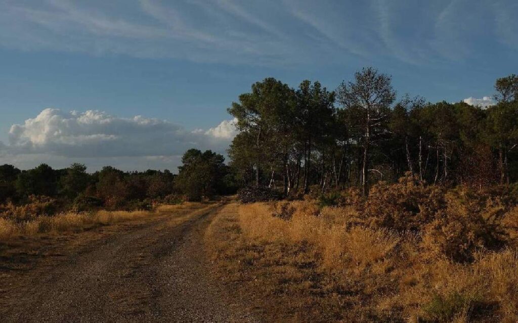 lesmégalithes de Gremel, à Saint Just, en août 2026, au coucher du soleil