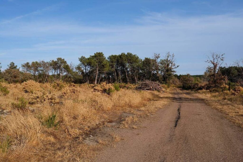 le chemin d'accès aux mégalithes de Gremel, à Saint Just, en août 2026