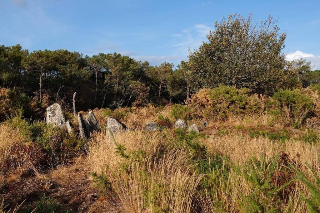 mégalithes de Gremel, à Saint Just, en août 2026