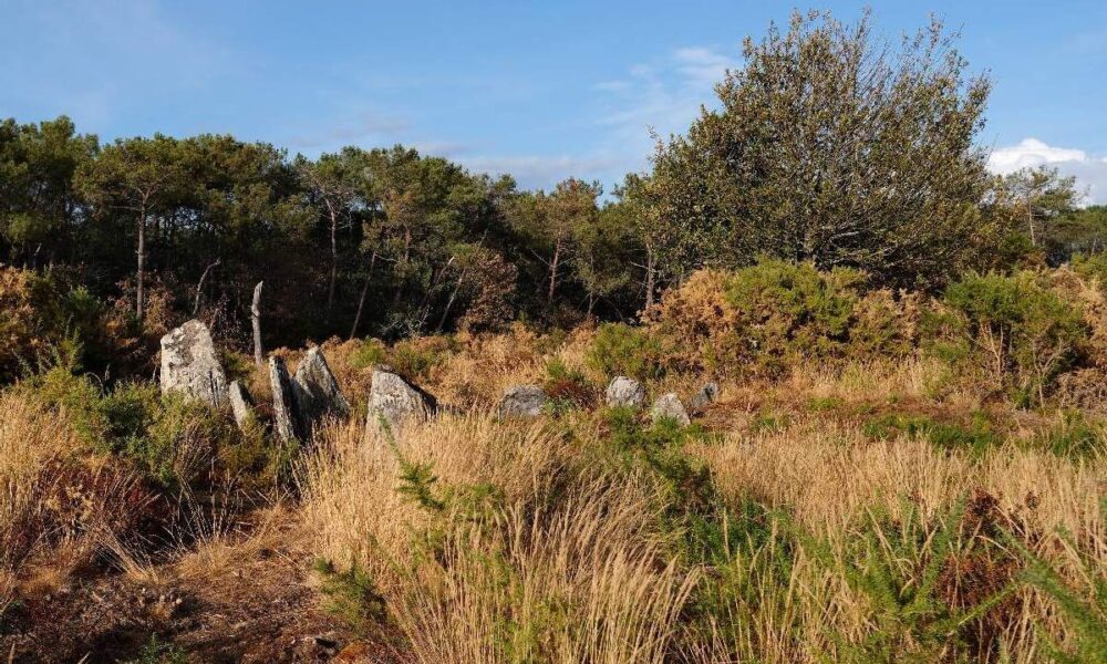 les mégalithes de Gremel, à Saint Just, en août 2026