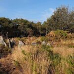 les mégalithes de Gremel, à Saint Just, en août 2026