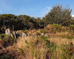 les mégalithes de Gremel, à Saint Just, en août 2026