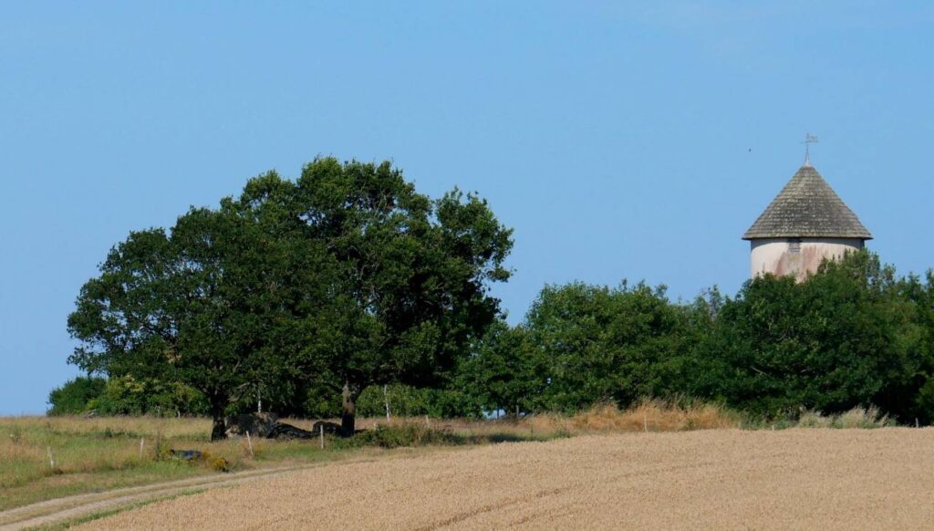 Le moulin de la Frogerais et l'alignement mégalithique entre les deux chênes