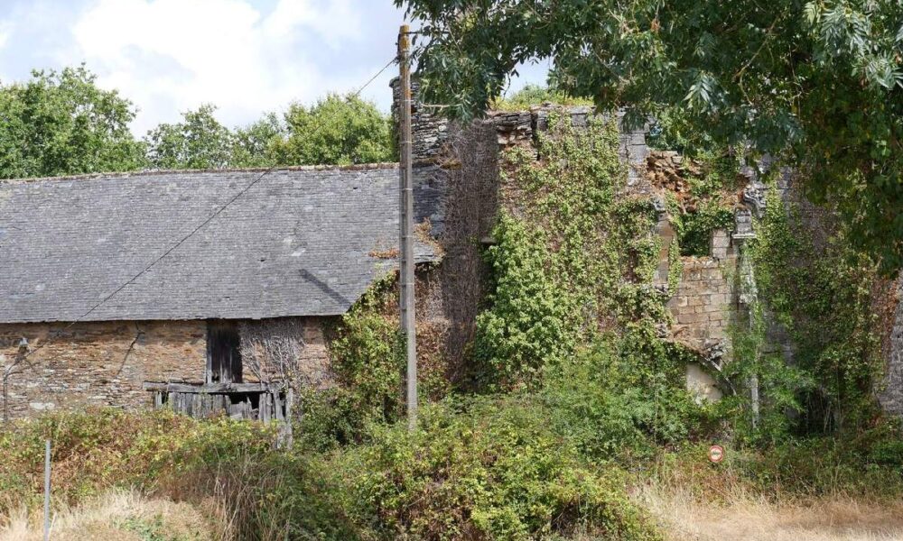 ruines du chateau de la provotais, à saint nicolas de redon