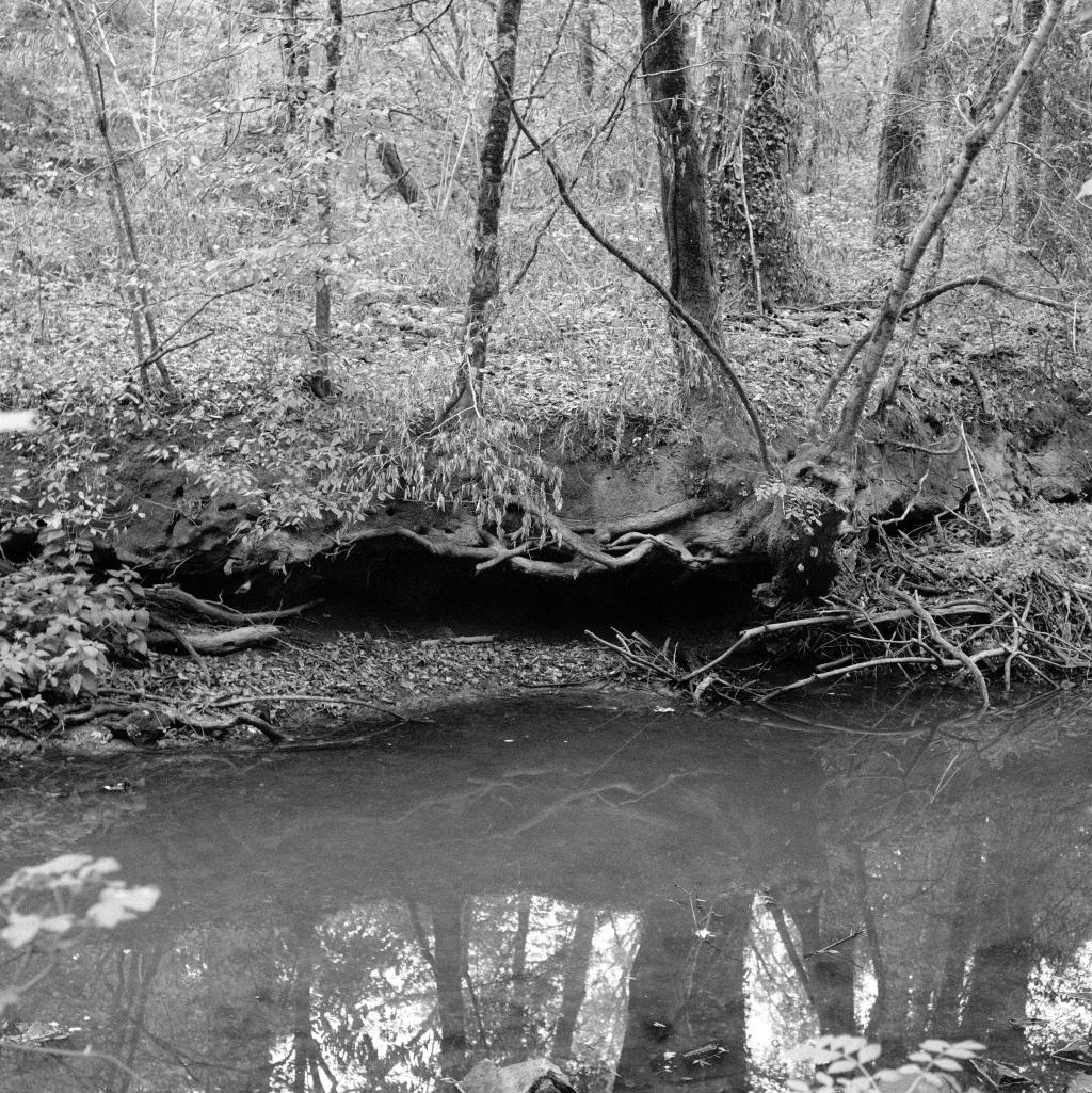 le Don se dessèche, la sécheresse abime les rives