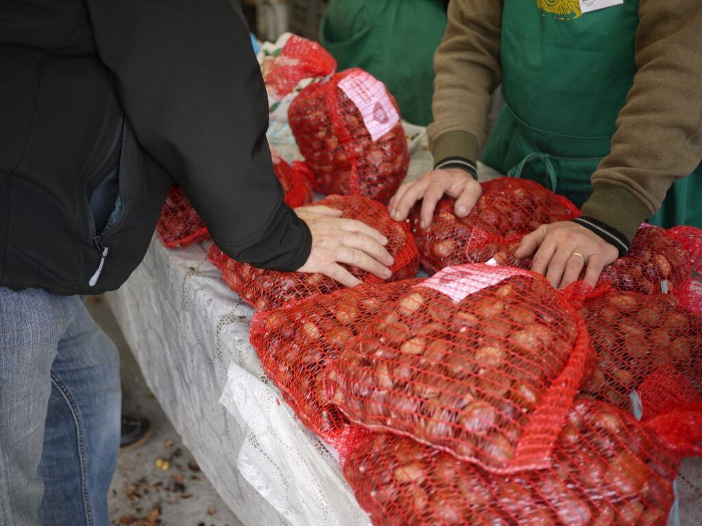 les marrons de Redon dans les rues, à la teillouse
